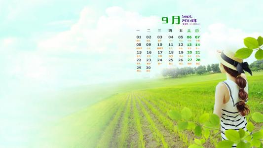 高清唯美清新绿色草地图片手机壁纸第2张