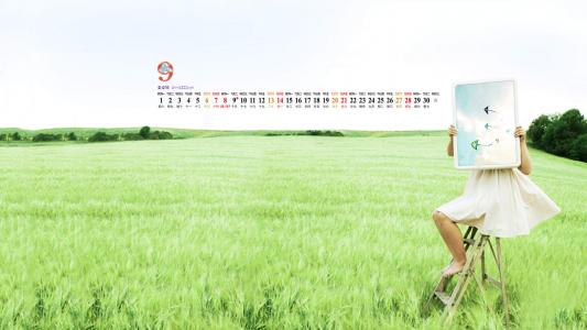 高清唯美清新绿色草地图片手机壁纸第5张