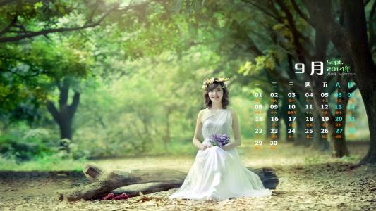 高清唯美清新绿色草地图片手机壁纸第6张