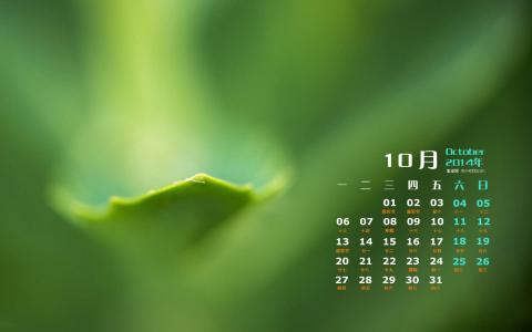 高清日历桌面壁纸清新养眼的绿色植物护眼壁纸第1张