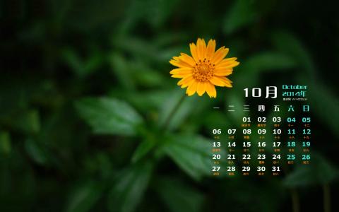高清日历桌面壁纸清新养眼的绿色植物护眼壁纸第5张