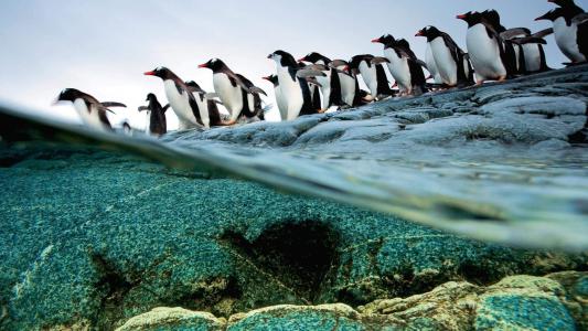 图片 _ 第(1)张