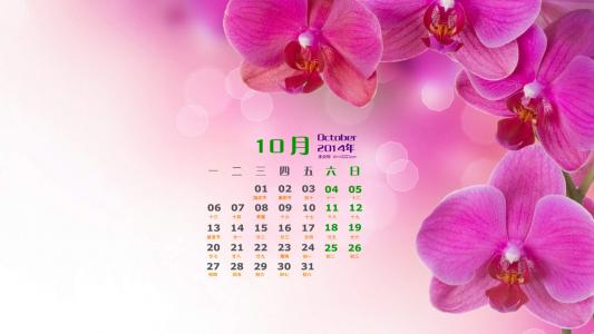 高清清新唯美花卉图片宽屏电脑桌面主题壁纸图片第5张