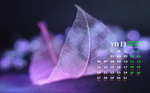 第0张