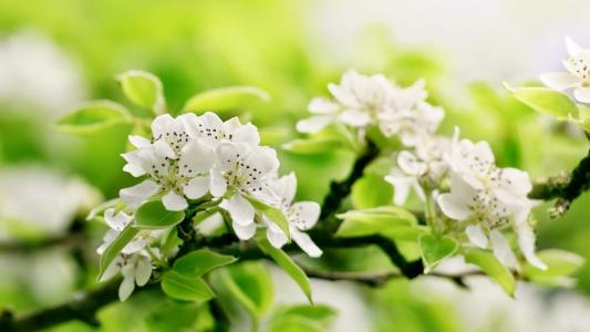 图片 _ 第(3)张