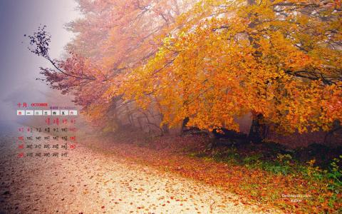 2014年10月日历壁纸唯美意境小清新初秋森林自然风光(三)第5张