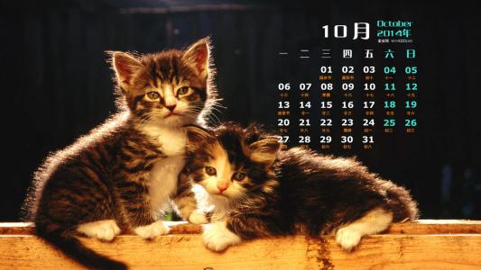 第2张