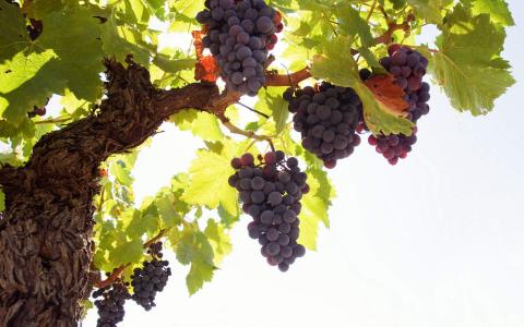 图片 _ 第(3)张
