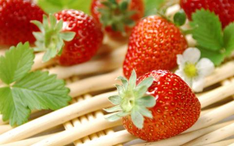 美食图片 _ 第(2)张