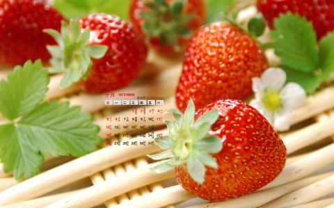 图片 _ 第(2)张