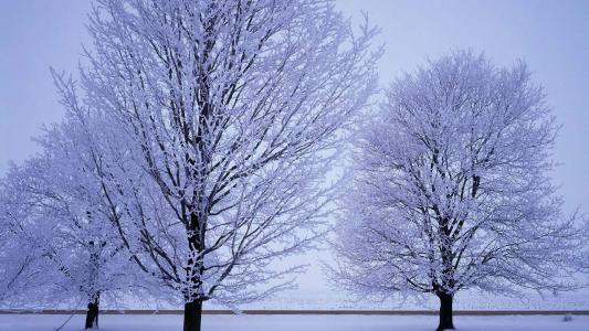 下雪第4张