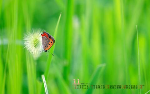 图片 _ 第(3)张