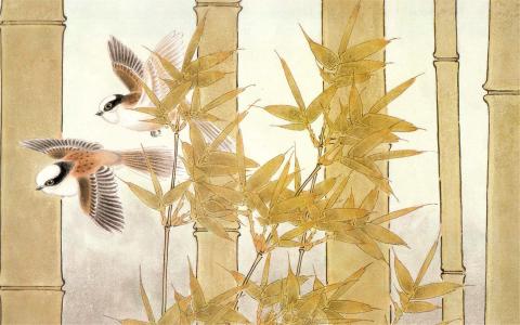 美术创意图片 _ 第(8)张