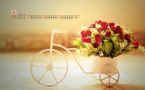 盆栽图片 _ 第(8)张