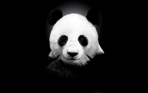 第3张