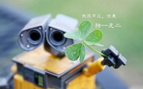 四叶草图片图片 _ 第(5)张