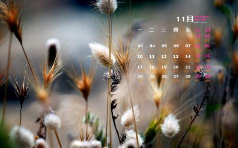 高清美景唯美高清高原大自然风景图片手机壁纸第0张