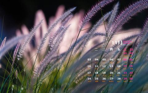 高清美景唯美高清高原大自然风景图片手机壁纸第5张