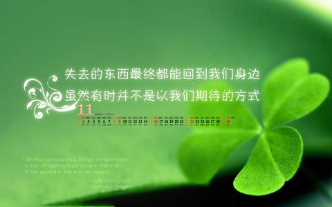 四叶草图片图片 _ 第(3)张