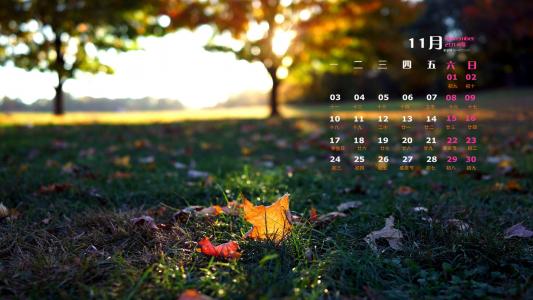 2014年10月日历壁纸唯美意境小清新初秋森林自然风光(三)第0张