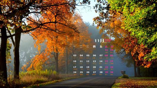 2014年10月日历壁纸唯美意境小清新初秋森林自然风光(三)第2张