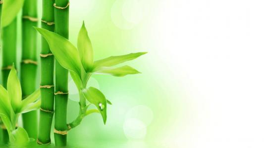 图片 _ 第(2)张