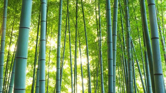 图片 _ 第(3)张