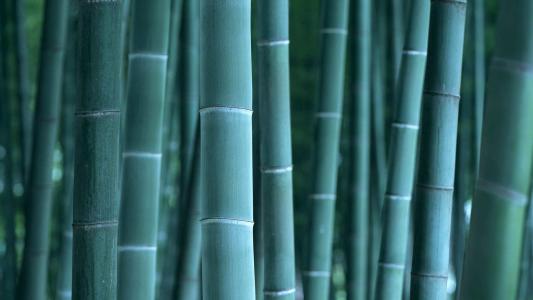 图片 _ 第(4)张