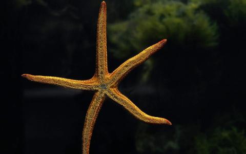 第3张