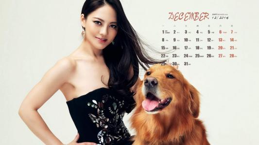 樊蕊图片 _ 第(2)张