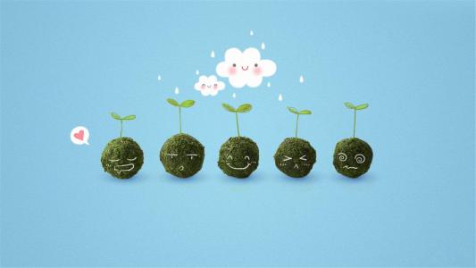 主流图片第5张