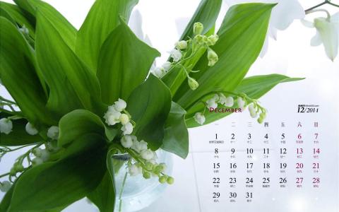 2014年12月日历家居绿色小清新盆栽植物高清电脑壁纸第2张