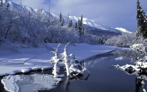 2016年11月日历冬天树木白雪风景精选壁纸下载第2张