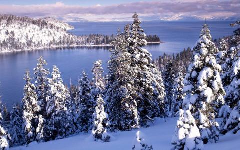 2016年11月日历冬天树木白雪风景精选壁纸下载第2张
