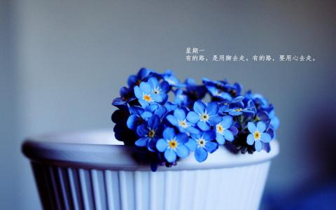 图片 _ 第(1)张