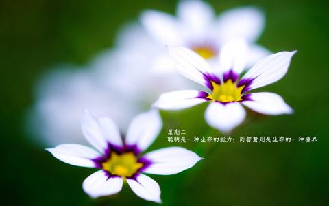 图片 _ 第(2)张