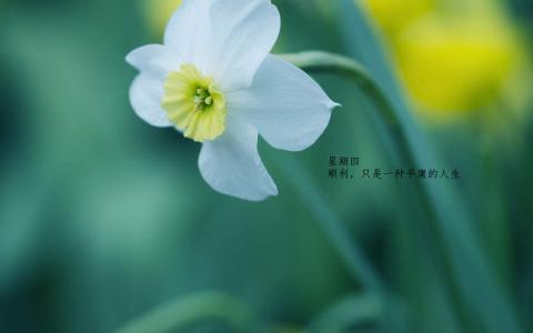 图片 _ 第(4)张