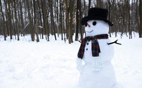 冬季可爱雪人图片手机壁纸第6张