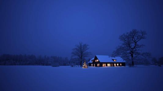 入冬下雪高清手机壁纸744*1392第5张