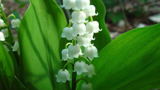 第0张
