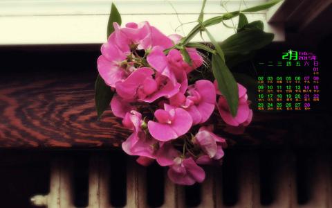 图片 _ 第(5)张