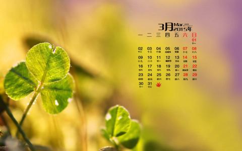 精选小黄人护眼四叶草电脑桌面壁纸下载第0张