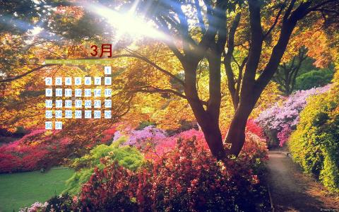优美风景图片 _ 第(1)张
