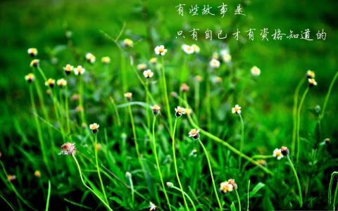 精选每日心语非主流治愈系图片伤感文字语录高清电脑桌面下载第3张