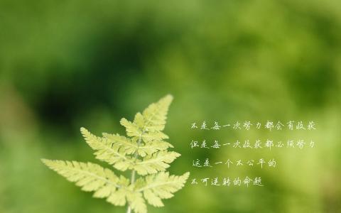 第2张