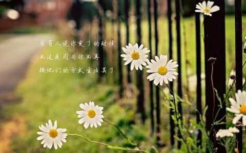 第3张