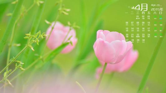电脑图片图片 _ 第(1)张