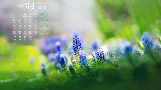 电脑图片图片 _ 第(1)张