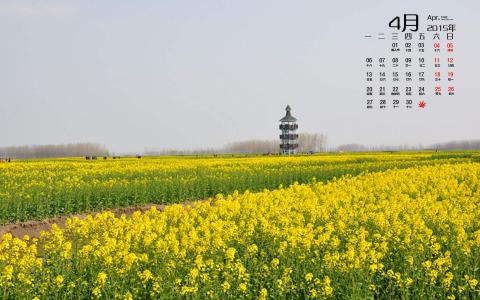 电脑图片图片 _ 第(1)张