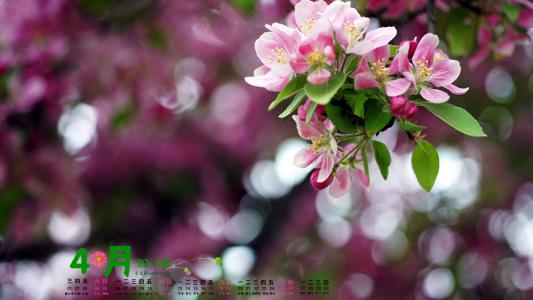 电脑图片图片 _ 第(1)张